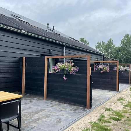 Cozy Holiday Home In Vrouwenpolder Close To The Beach Bagian luar foto