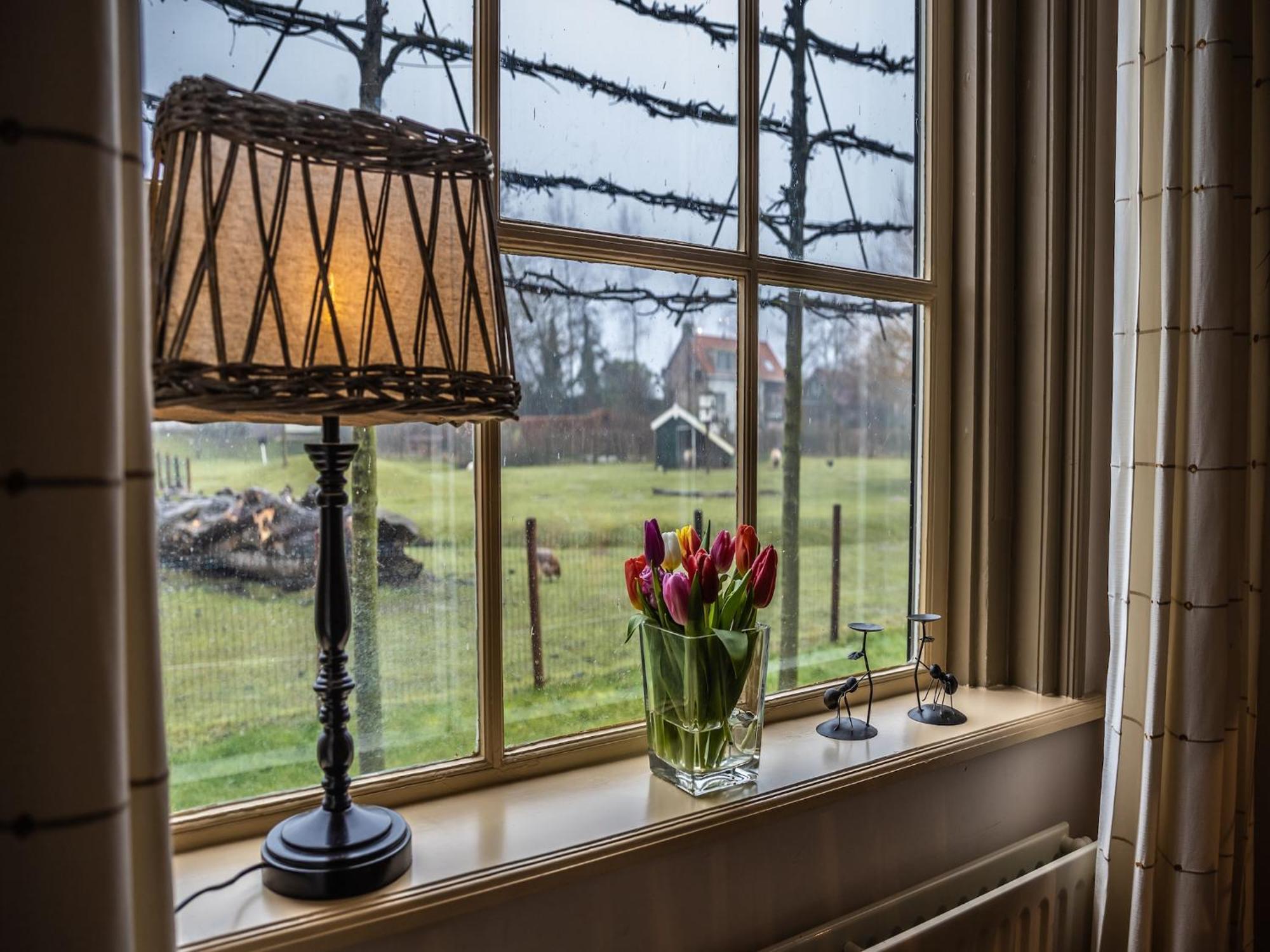 Cozy Holiday Home In Vrouwenpolder Close To The Beach Bagian luar foto